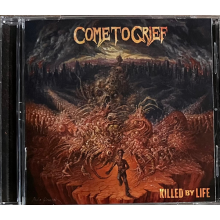 Come To Grief - Killed By Life