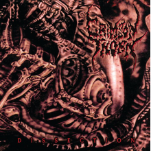 Crimson Thorn - Dissection