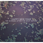 Happy New Year - The Morning After the Night Before