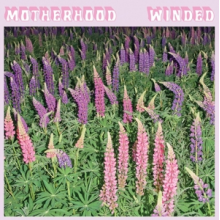 Motherhood - Winded