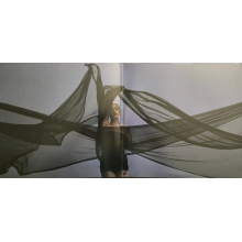 Lede, Kiana - Grudges