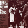 V/A - Been In the Storm So Long