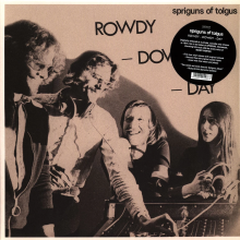 Spriguns of Tolgus - Rowdy, Rowdy Day