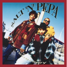 Salt-N-Pepa - Very Necessary