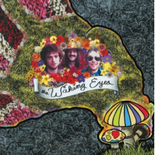 Waking Eyes - Combing the Cloud