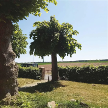 Berg, Sigtryggur Sigmarsson - Into the Second Half