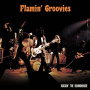 Flamin' Groovies - Rockin' the Roadhouse