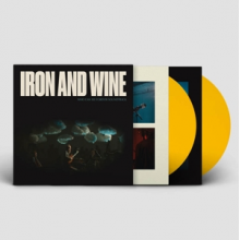 Iron & Wine - Who Can See Forever