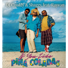 DJ Cassidy & Shaggy - If You Like Pina Coladas