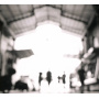 Morphose - Open Shutter