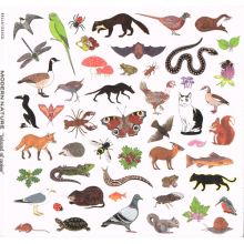 Modern Nature - Island of Noise