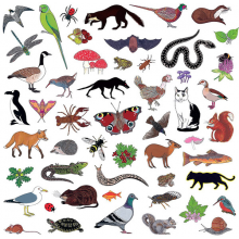 Modern Nature - Island of Noise