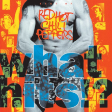 Red Hot Chili Peppers - What Hits?