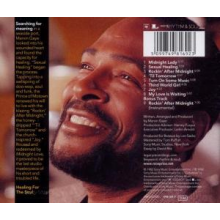 Gaye, Marvin - Midnight Love