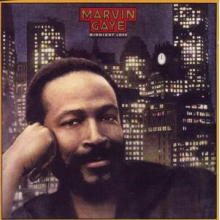Gaye, Marvin - Midnight Love