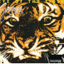 Survivor - Eye of the Tiger
