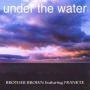 Brother Brown - Under the Water -4tr-