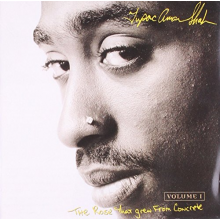 2pac - The Rose That Grew From Concrete