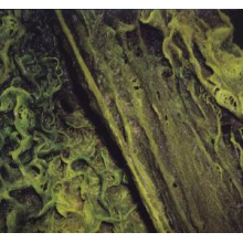 High Places - High Places Vs. Mankind