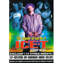 Ice-T - Pimp'in 101