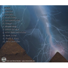 Damaged - Purified In Pain