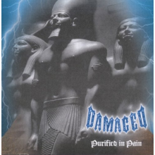 Damaged - Purified In Pain