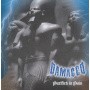 Damaged - Purified In Pain