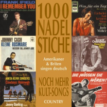 V/A - 1000 Nadelstiche 2