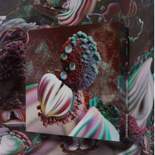 Bjork - Fossora