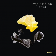 V/A - Pop Ambient 2024