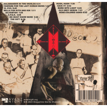 Sleepytime Gorilla Museum - Of the Last Human Being