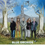 Blue Orchids - Magpie Heights