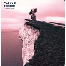 Calyx & Teebee - Fabric Live 76