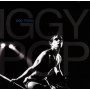 Pop, Iggy - Pop Music