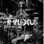 Amplexus - Melting Away - Fierce Detrunctation
