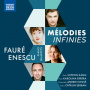 Ionita, Andrei - Gabriel Faure & George Enescu: Piano Quartets (Melodies Infinies)