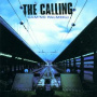 Calling - Camino Palmero