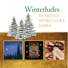 Di Meola, Al - Winterludes