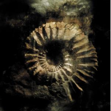 Sinke Dus - Modus Vivendi