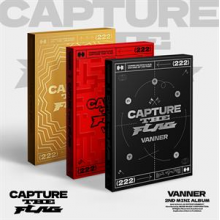 Vanner - Capture the Flag