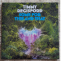 Regisford, Timmy - Some For This and That