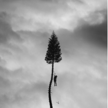 Manchester Orchestra - A Black Mile To the Surface