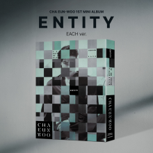 Cha, Eun-Woo - Entity