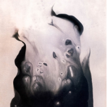 Hansen, Marla - Salt