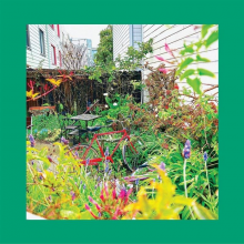 Pinks Reds and Purples - Unwishing Well