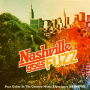 V/A - Nashville Goes Fuzz