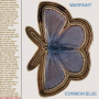 Warpaint - 7-Common Blue/Underneath