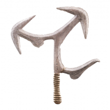 Zulu - Smart & Loyal