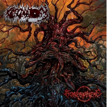 Cercenatory - Goresphere