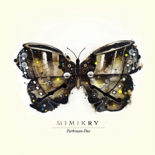 Farbraum Duo - Mimikry